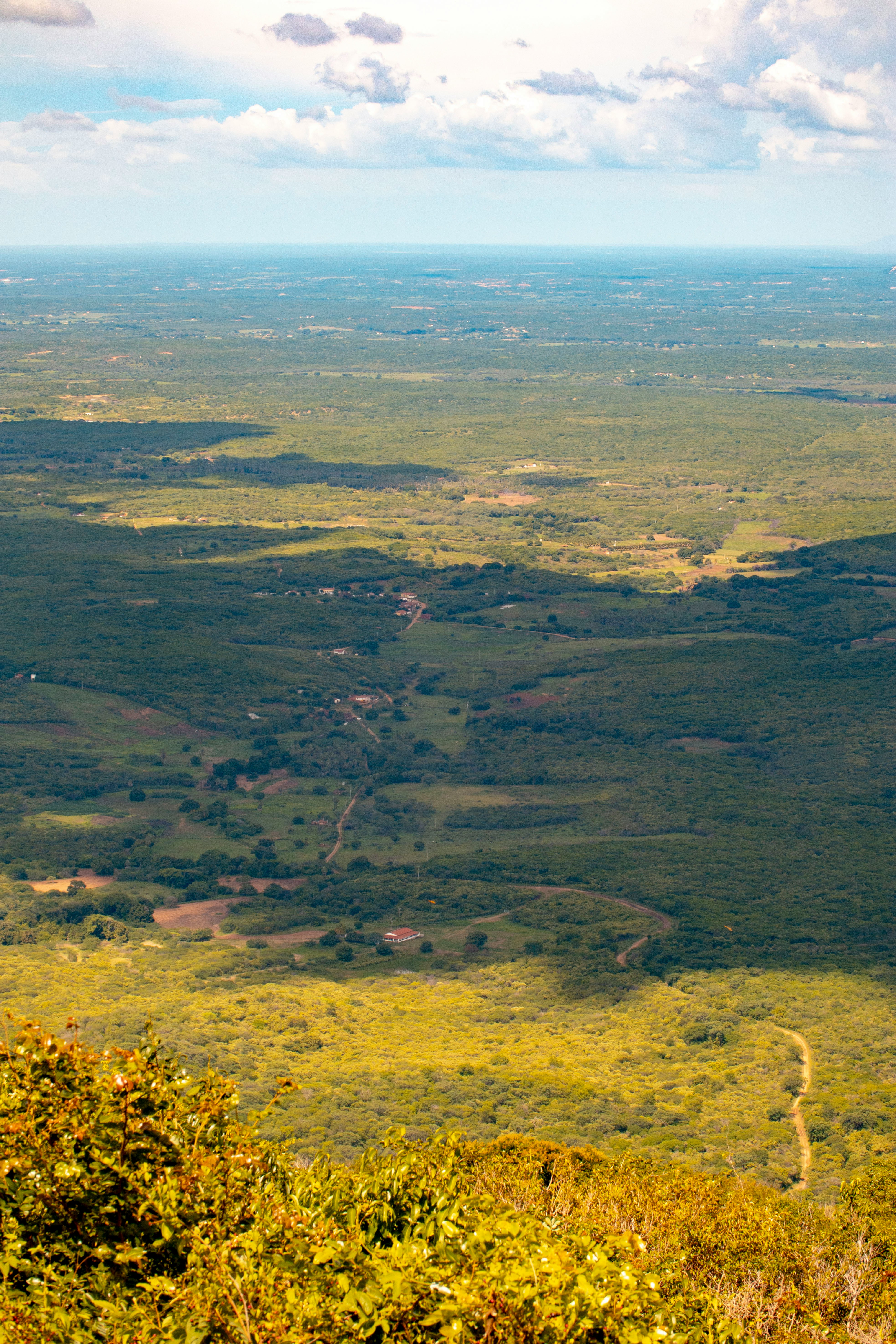 UWC Zambia Website - Homepage